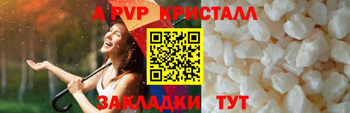A PVP СК Печора