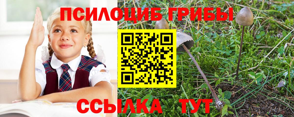 Галлюциногенные грибы мухоморы  Галлюциногенные грибы ЛСД  Печора  Вход с VPN 